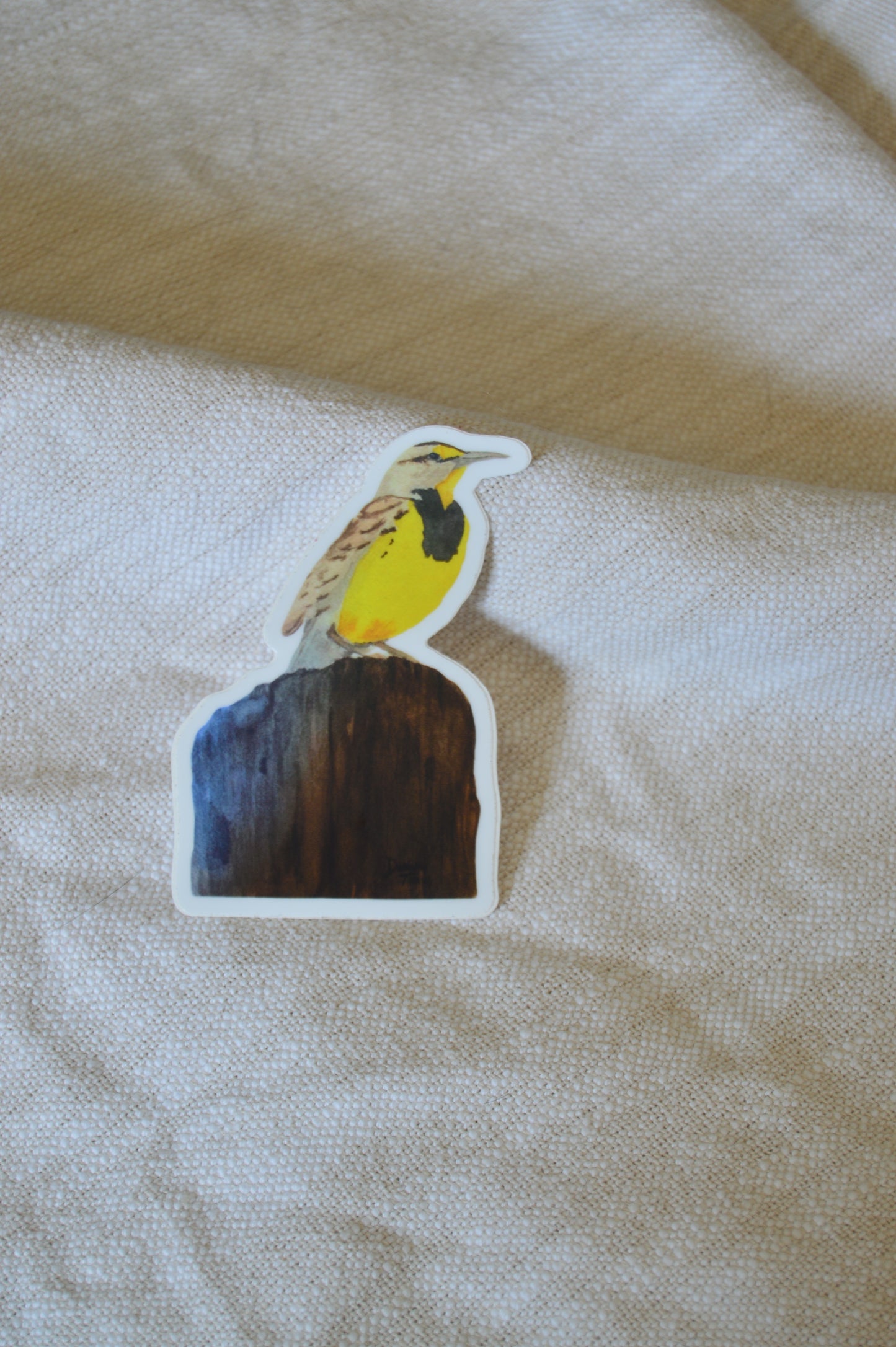 Meadowlark Sticker