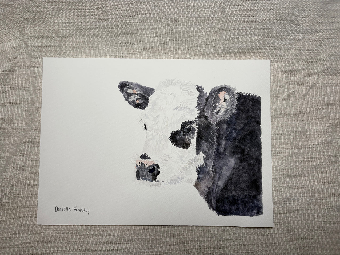 Black and White Calf