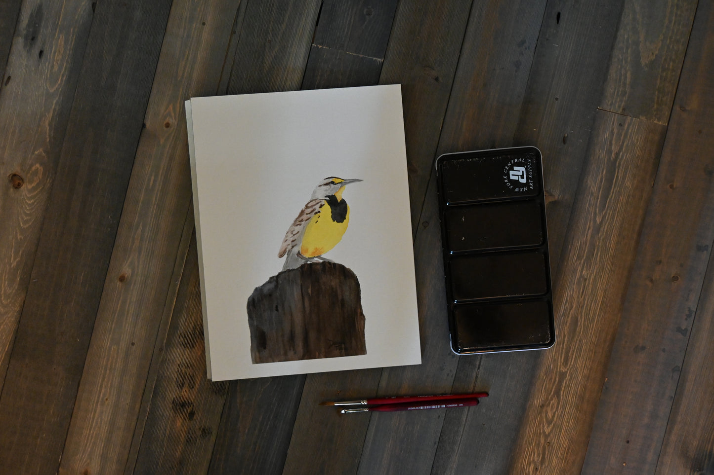 Western Meadowlark
