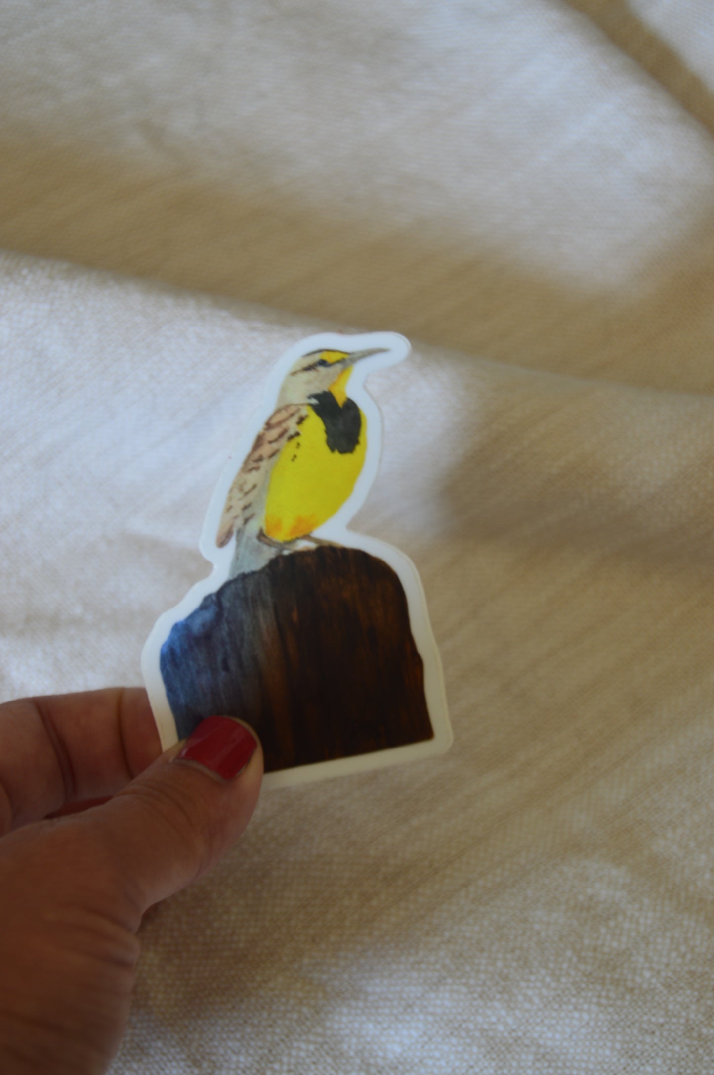 Meadowlark Sticker