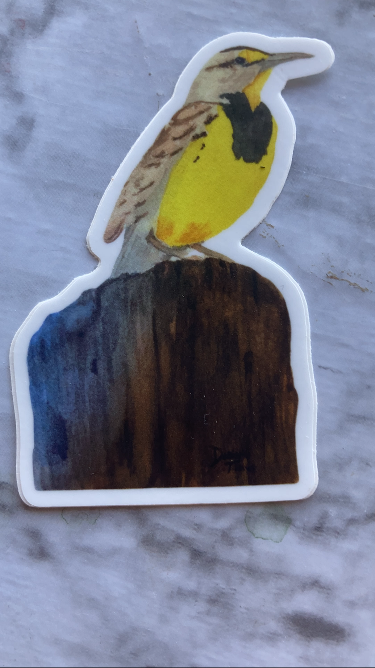 Meadowlark Sticker