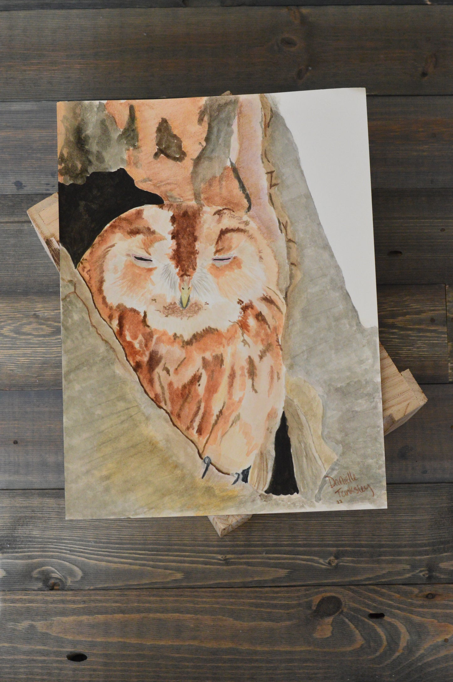 Owl Watercolor Original