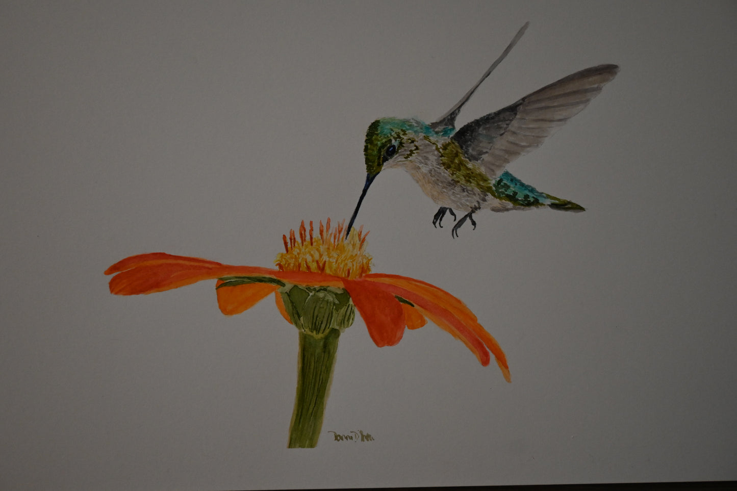 Hummingbird Watercolor