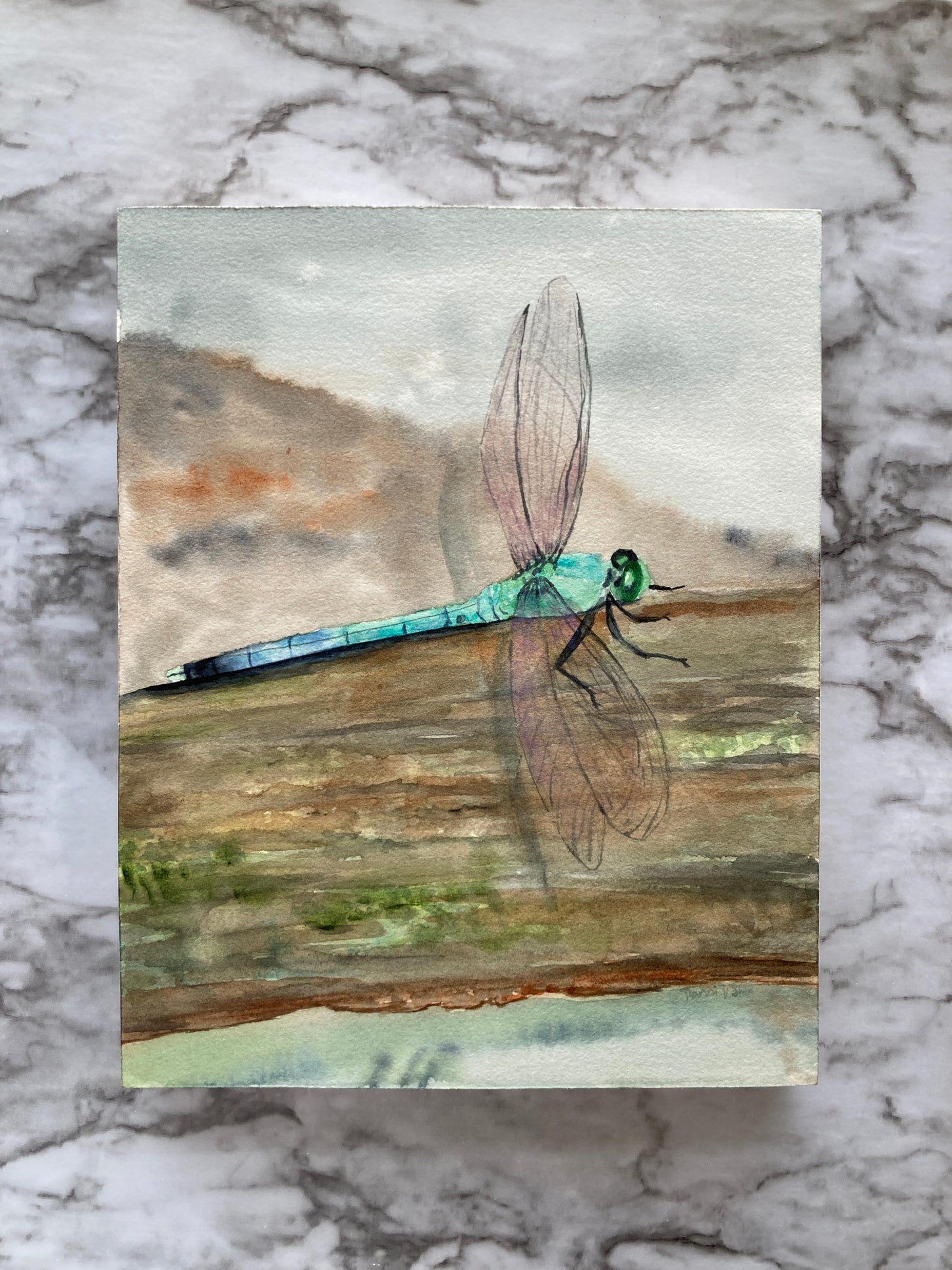 Dragonfly Watercolor