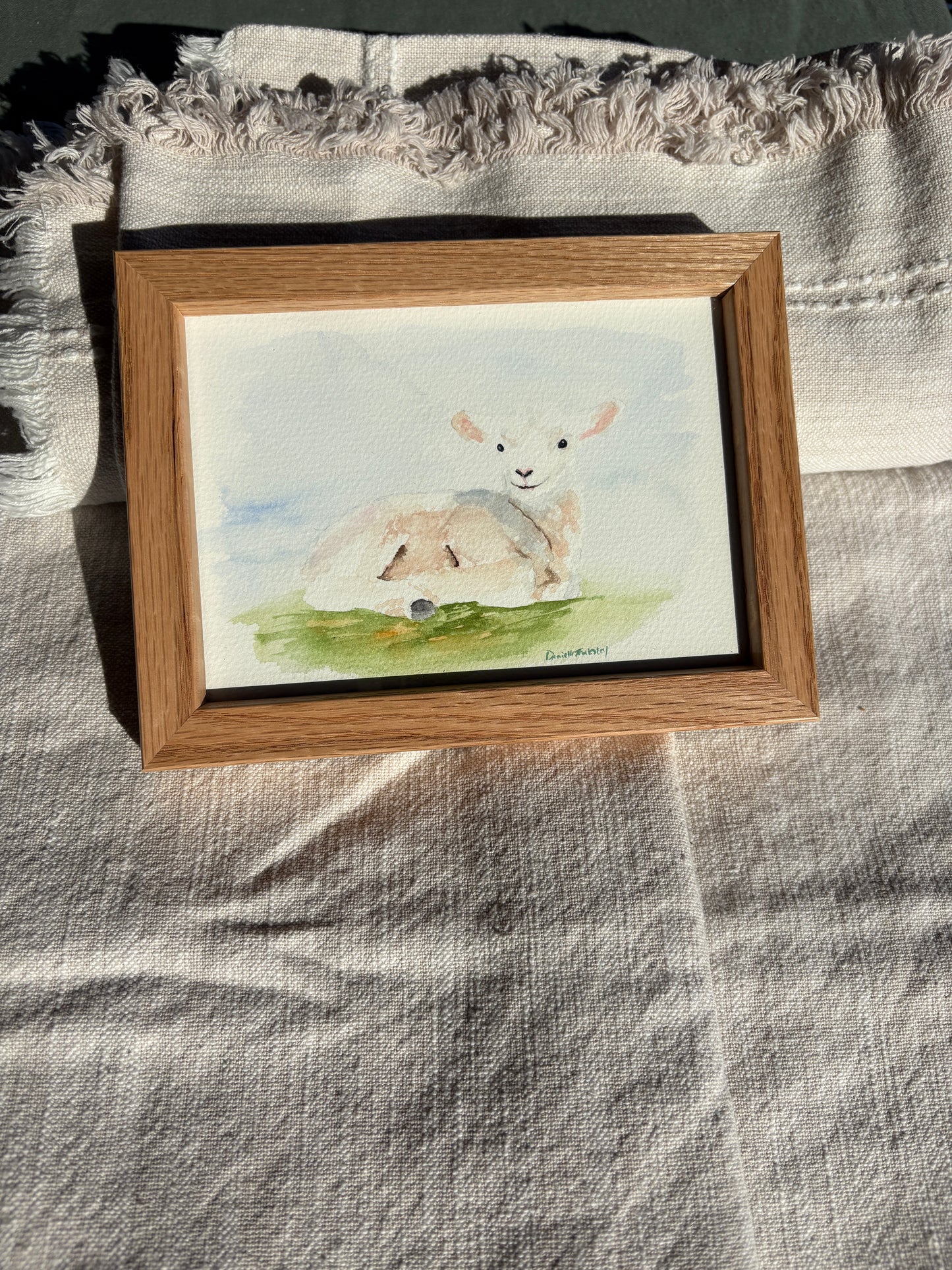 Lamb Watercolor