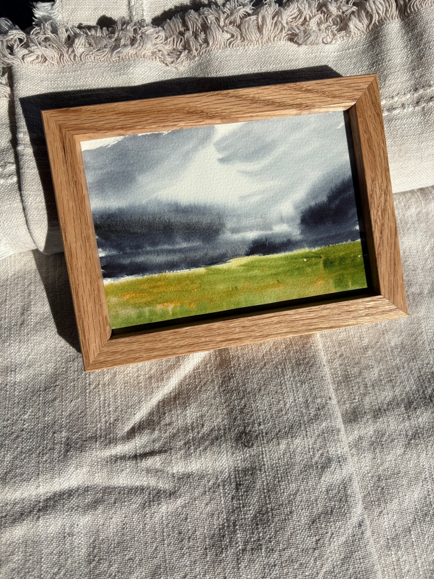 Stormy Prairie Landscape
