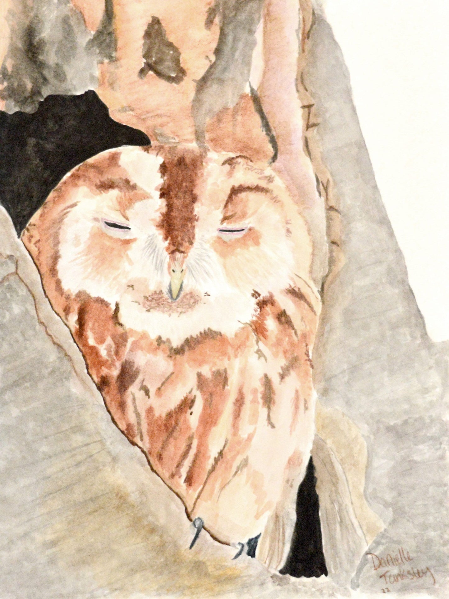 Owl Watercolor Original