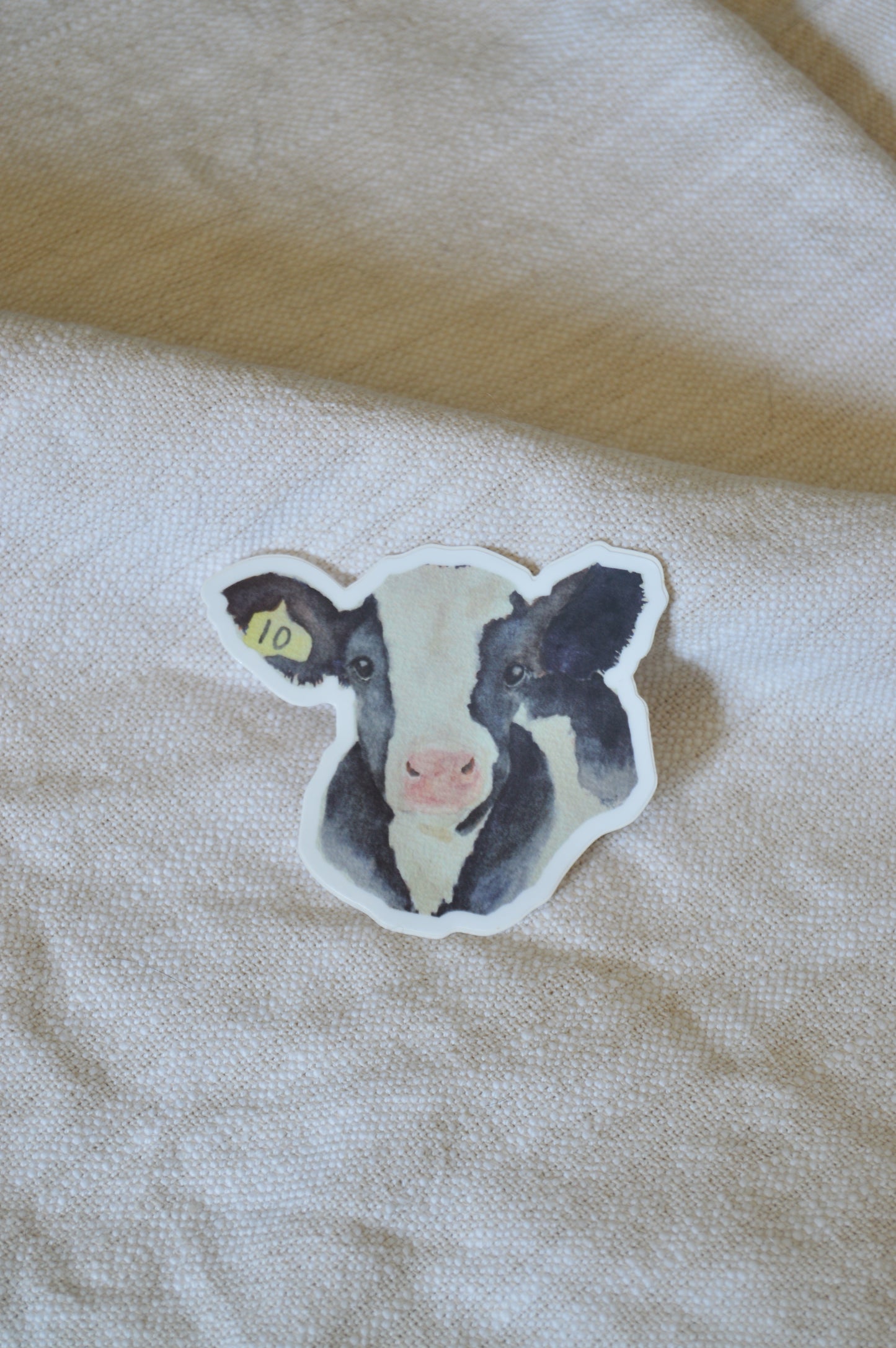 Holstein Calf Watercolor Sticker