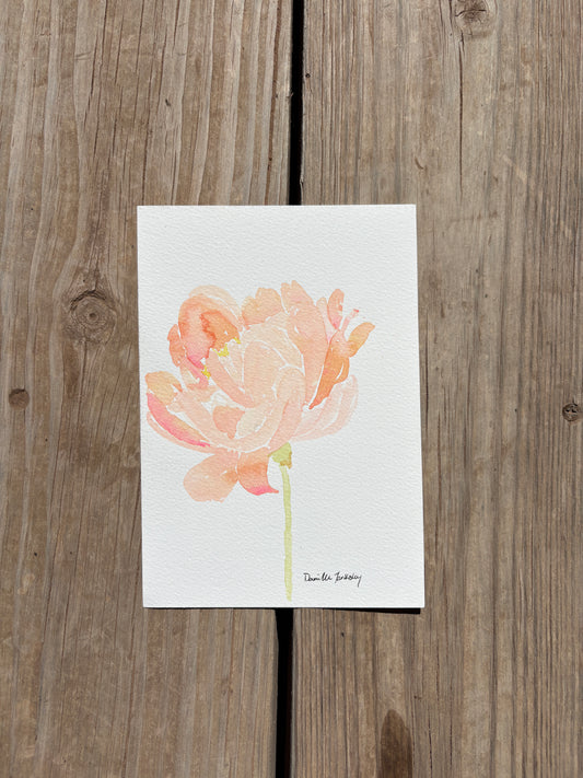 Peony Watercolor