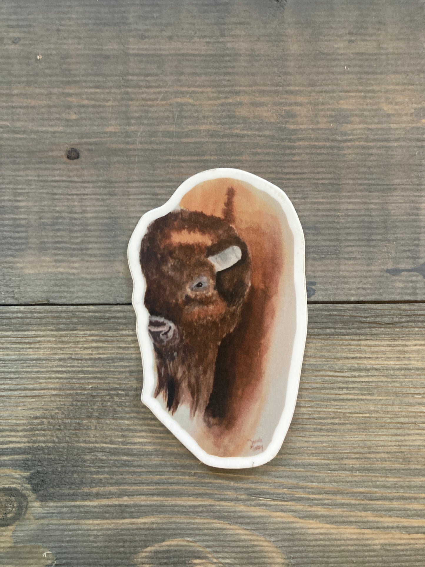 Buffalo Watercolor Sticker