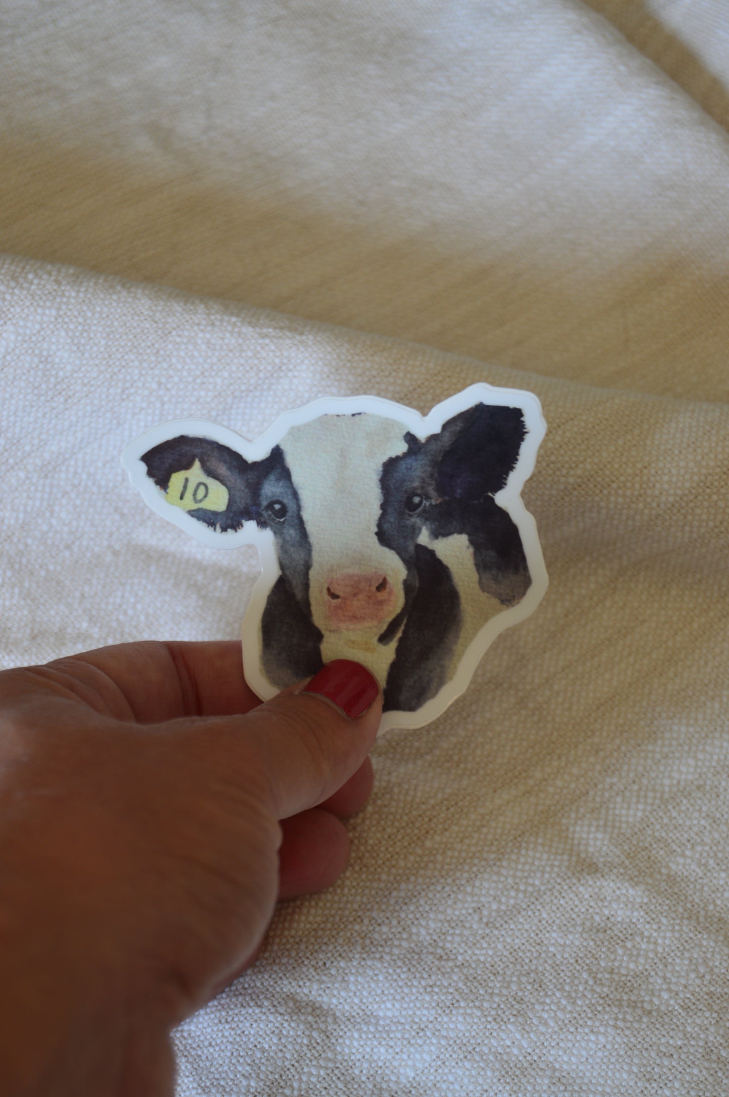 Holstein Calf Watercolor Sticker