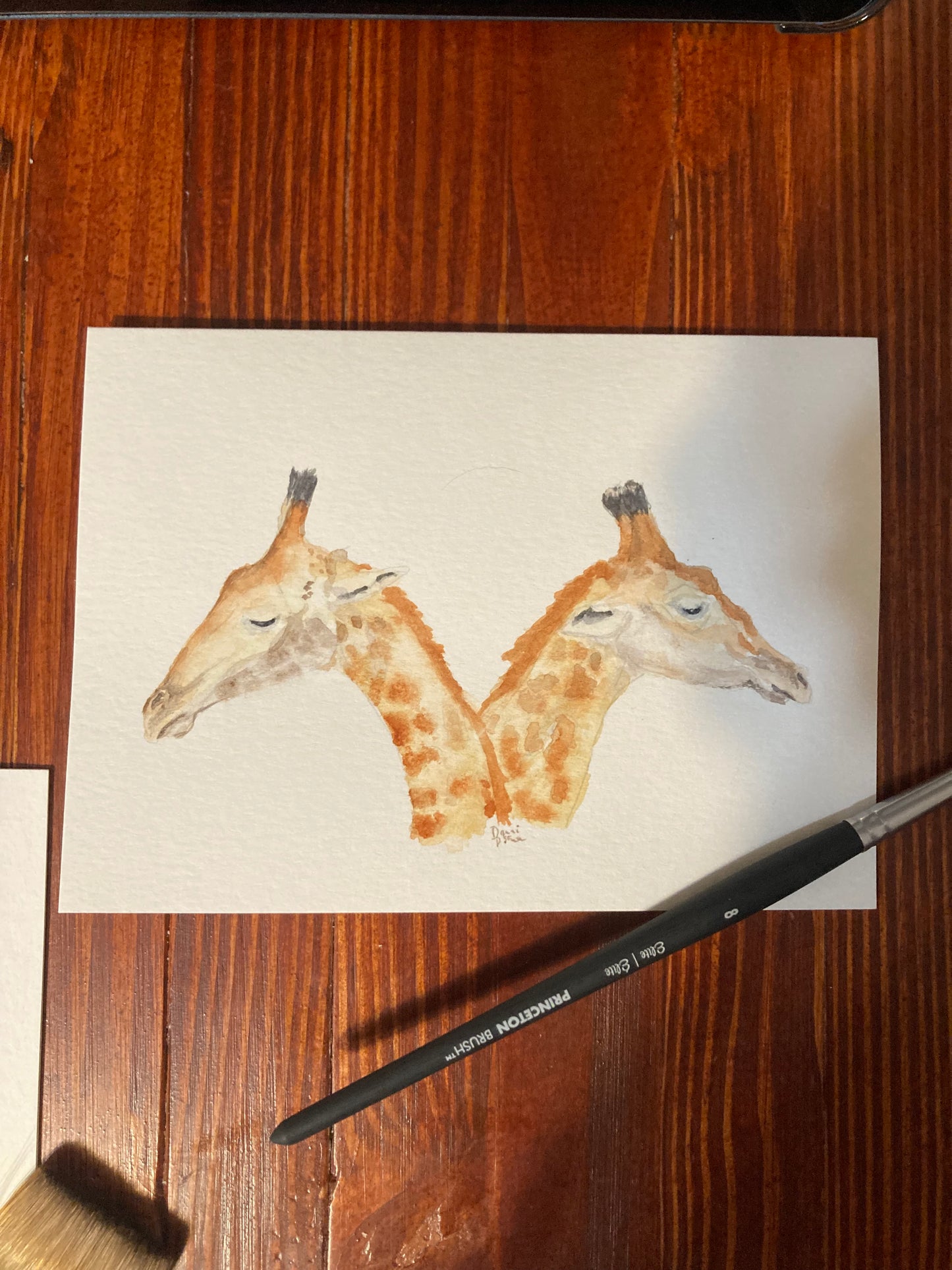Safari Card Series