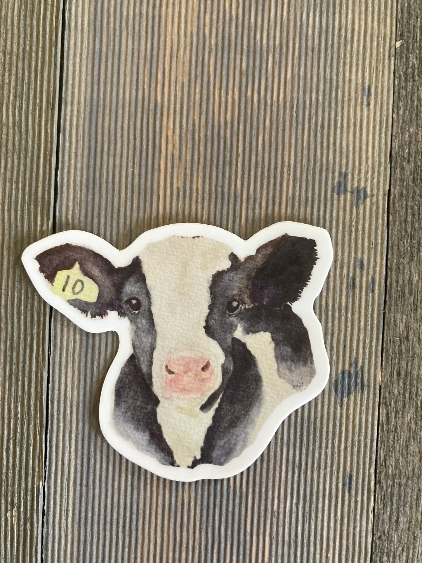 Holstein Calf Watercolor Sticker