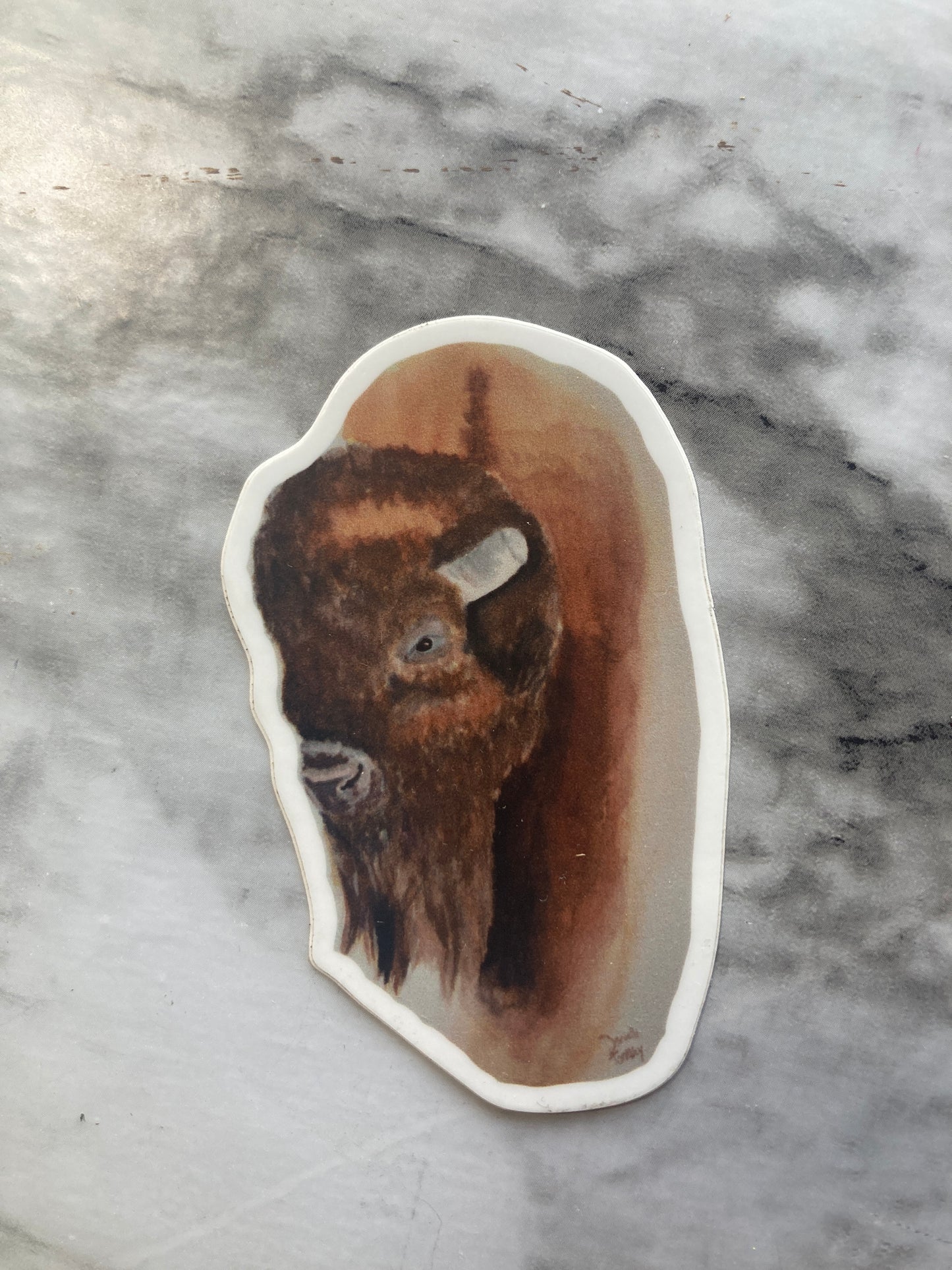 Buffalo Watercolor Sticker
