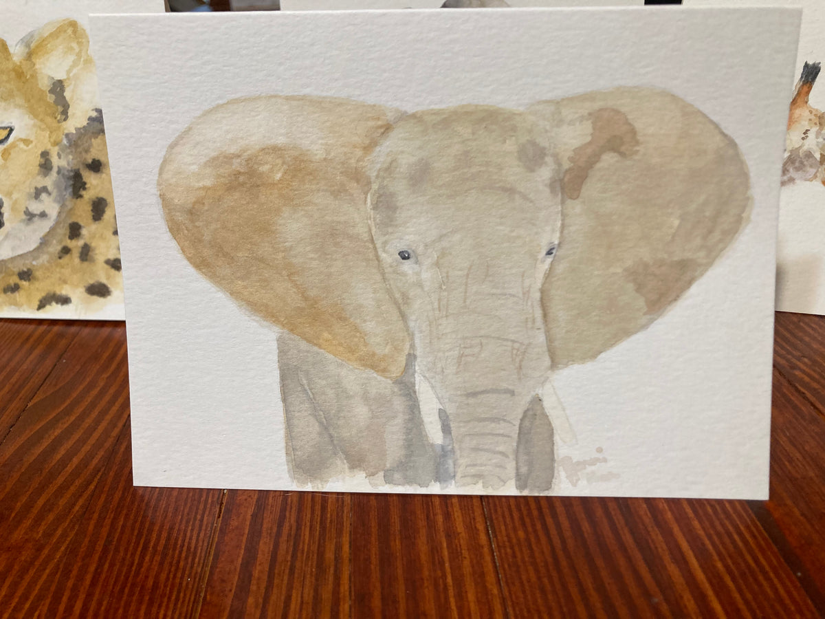 Safari Card Series