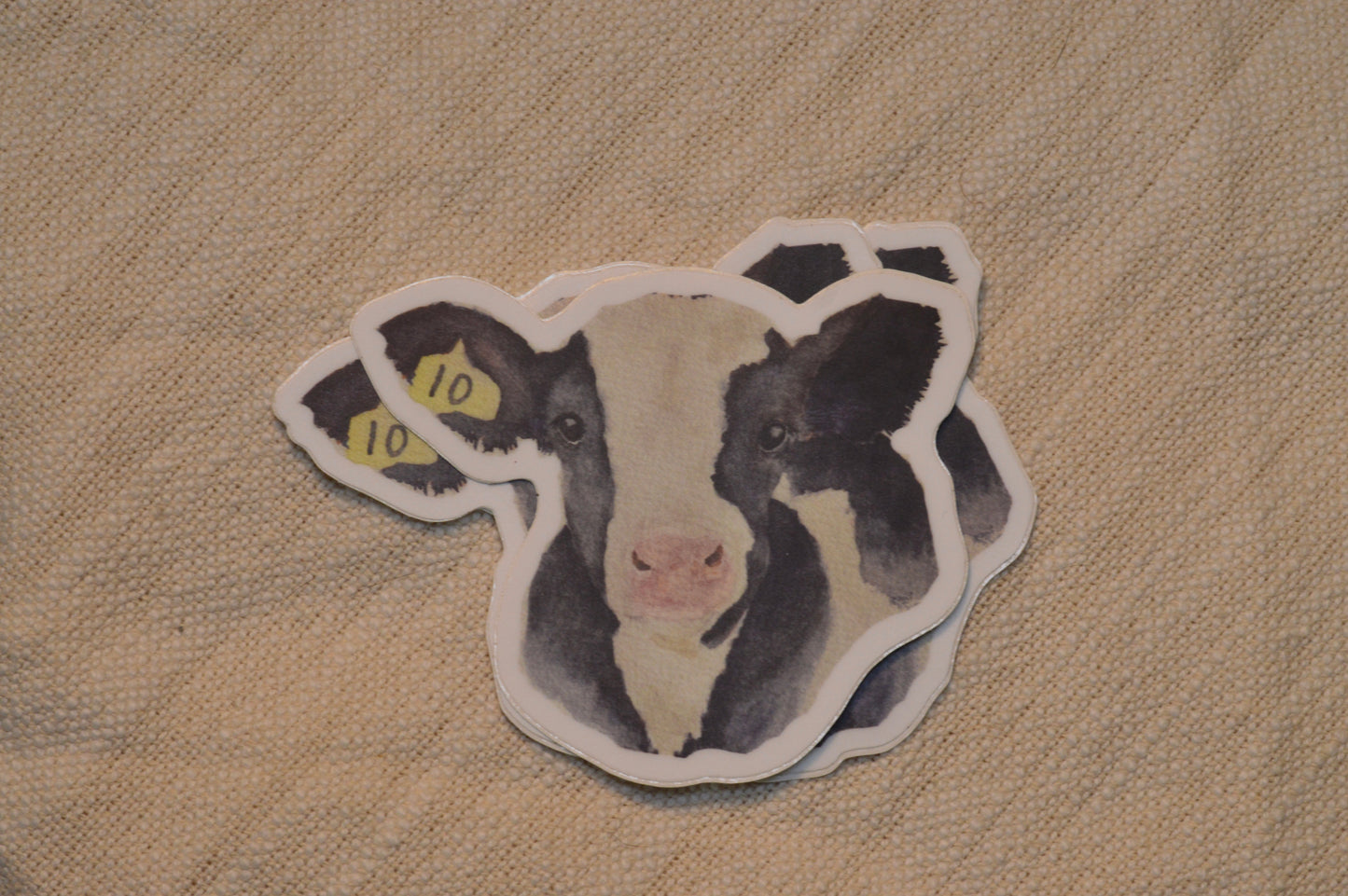 Holstein Calf Watercolor Sticker