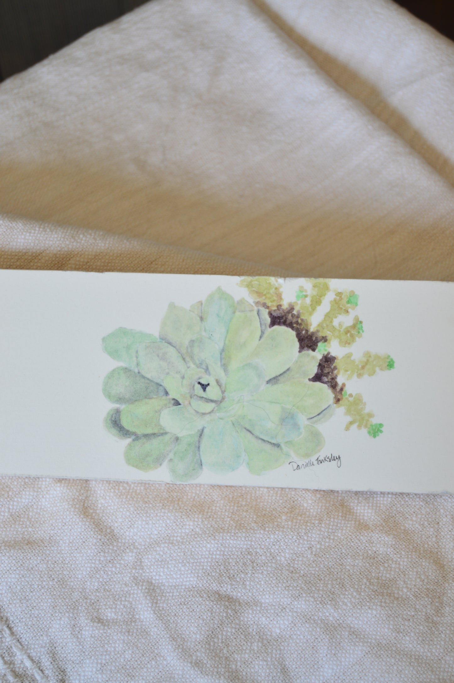 Succulents on Board