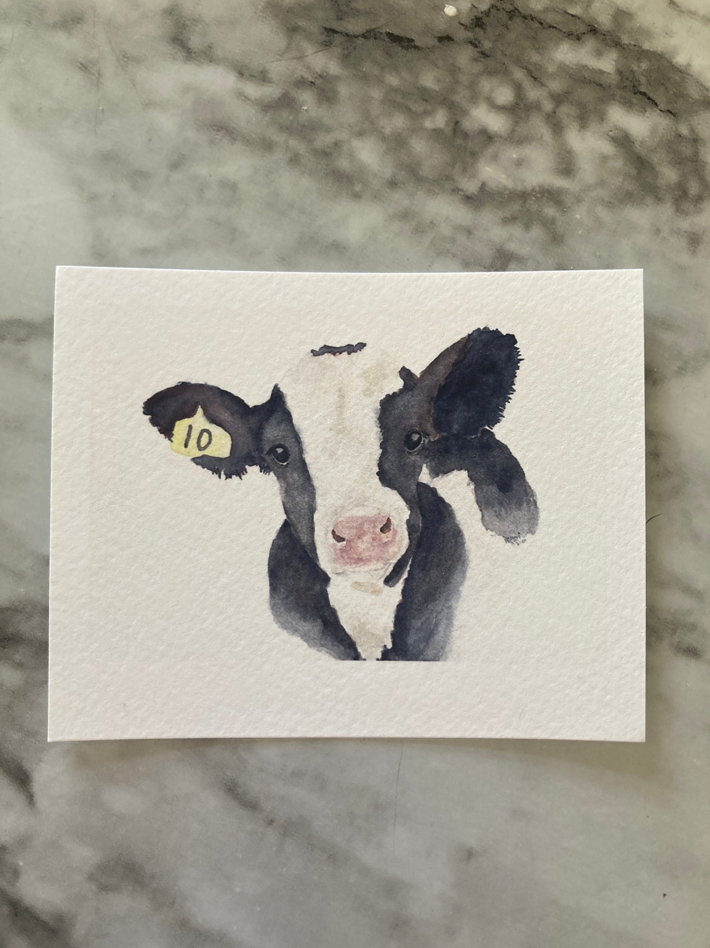 Mini Print Watercolor Holstein Calf