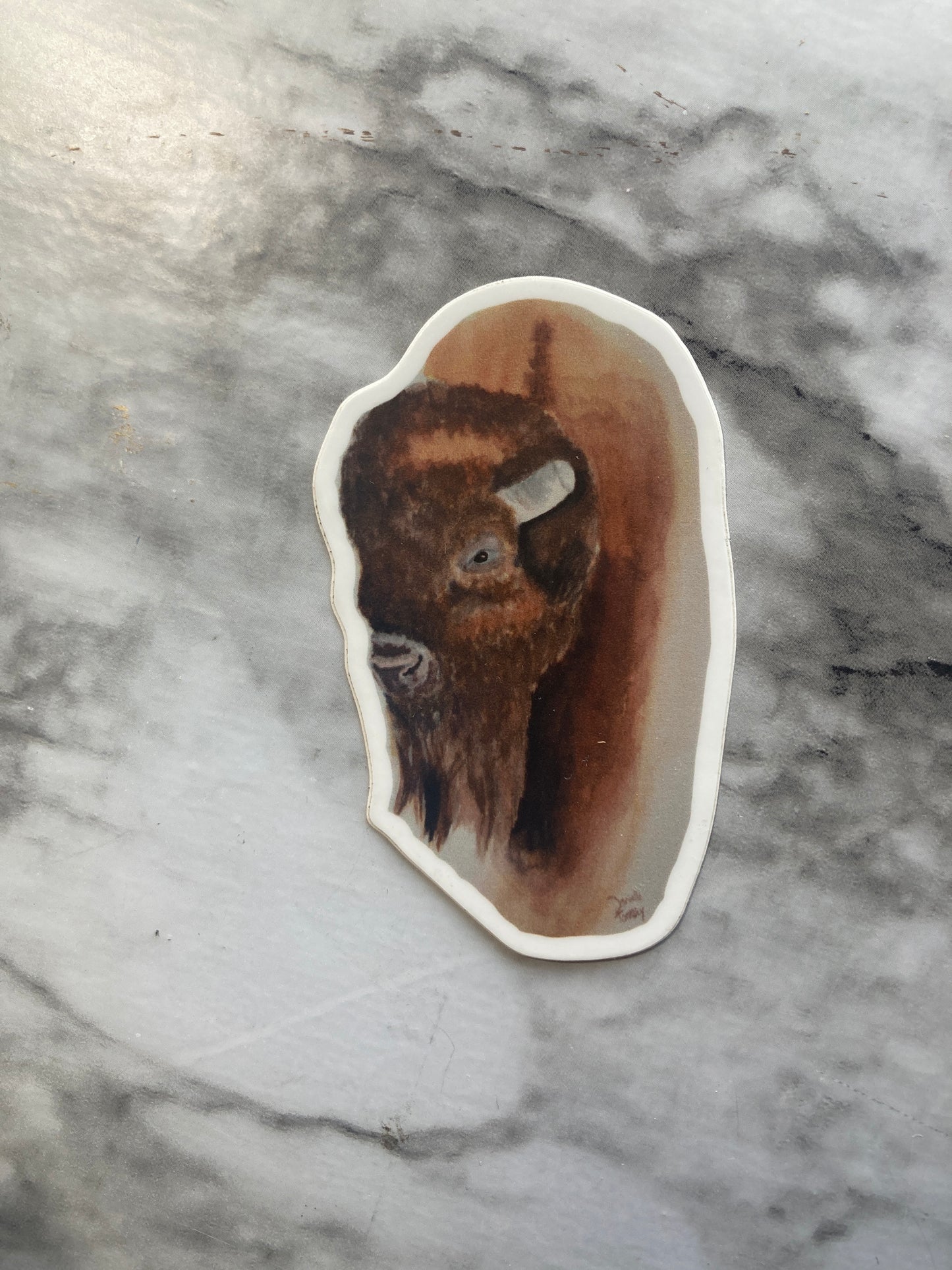 Buffalo Watercolor Sticker