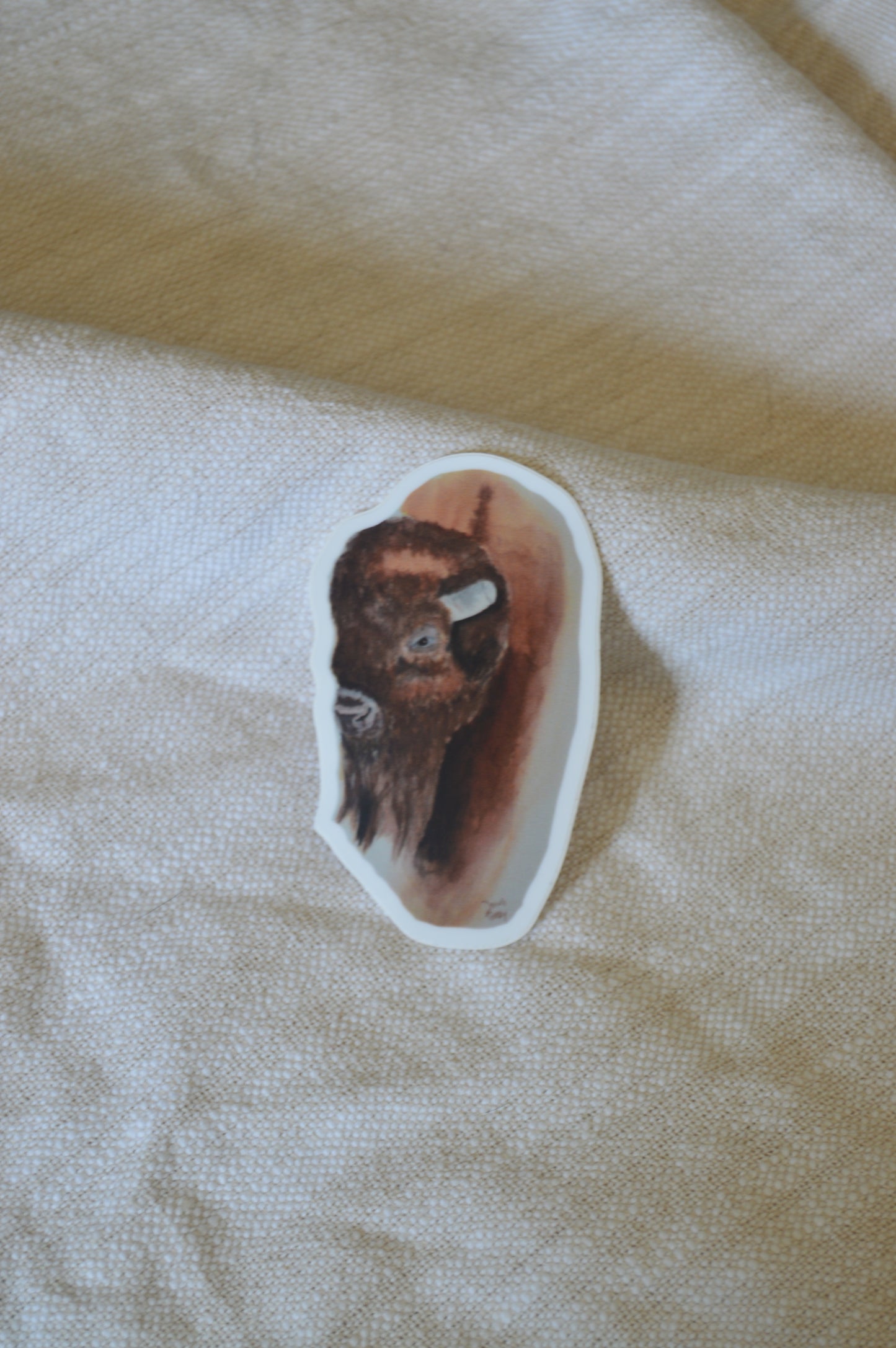 Buffalo Watercolor Sticker