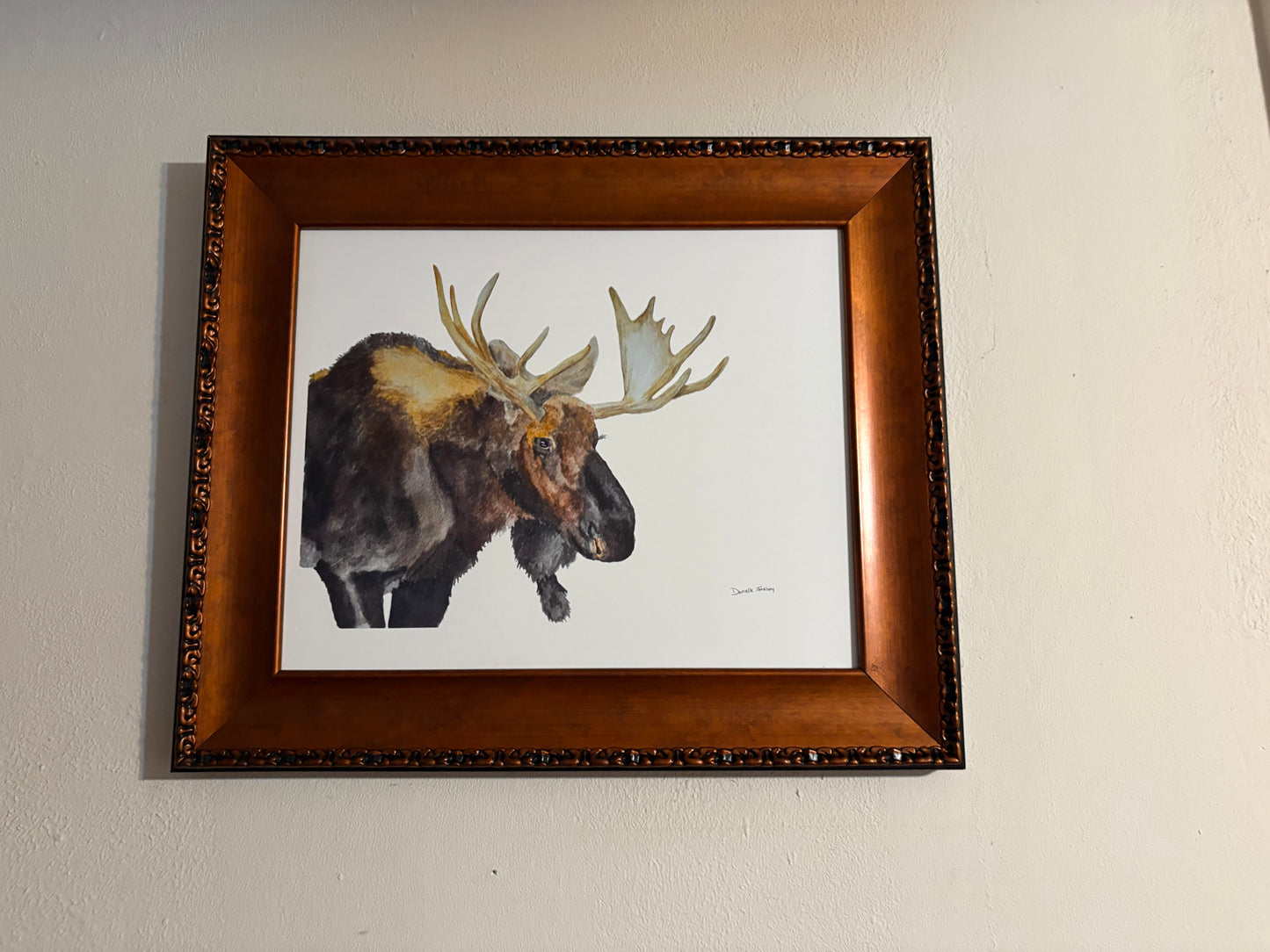 Framed Canvas Moose Print