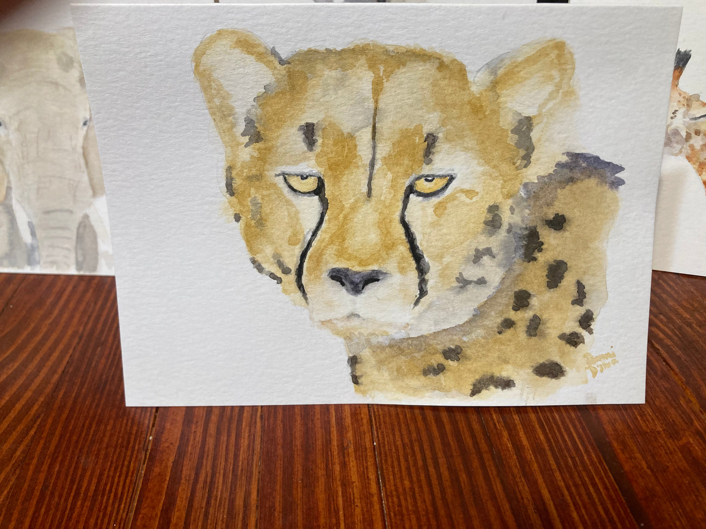Safari Card Series