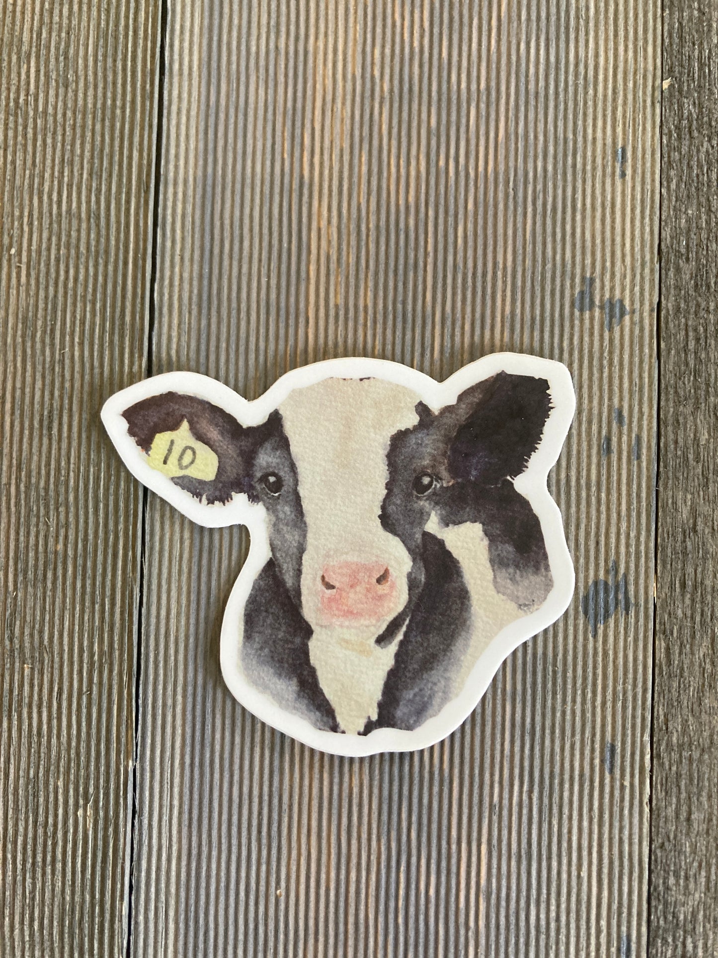 Holstein Calf Watercolor Sticker