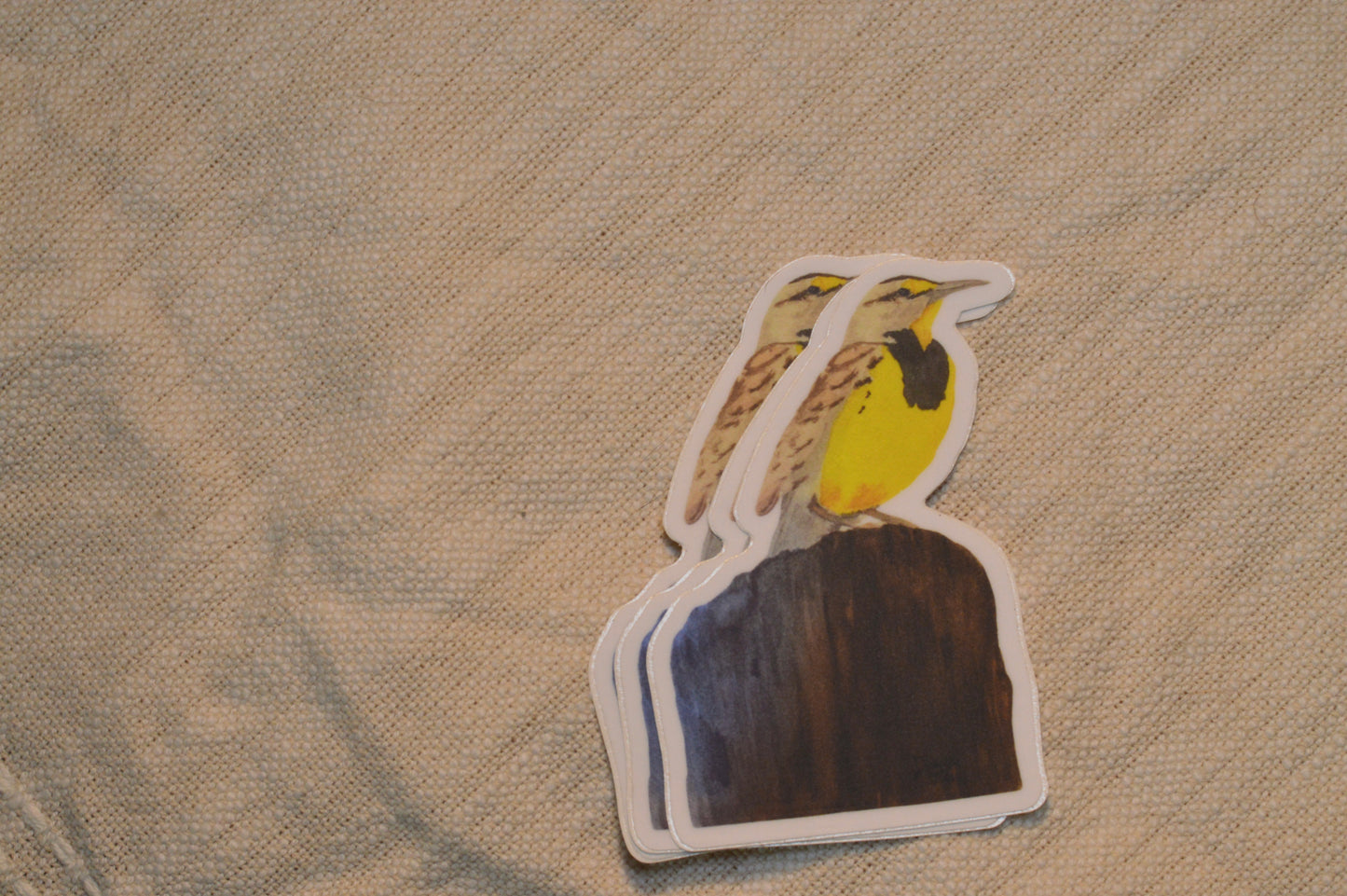 Meadowlark Sticker