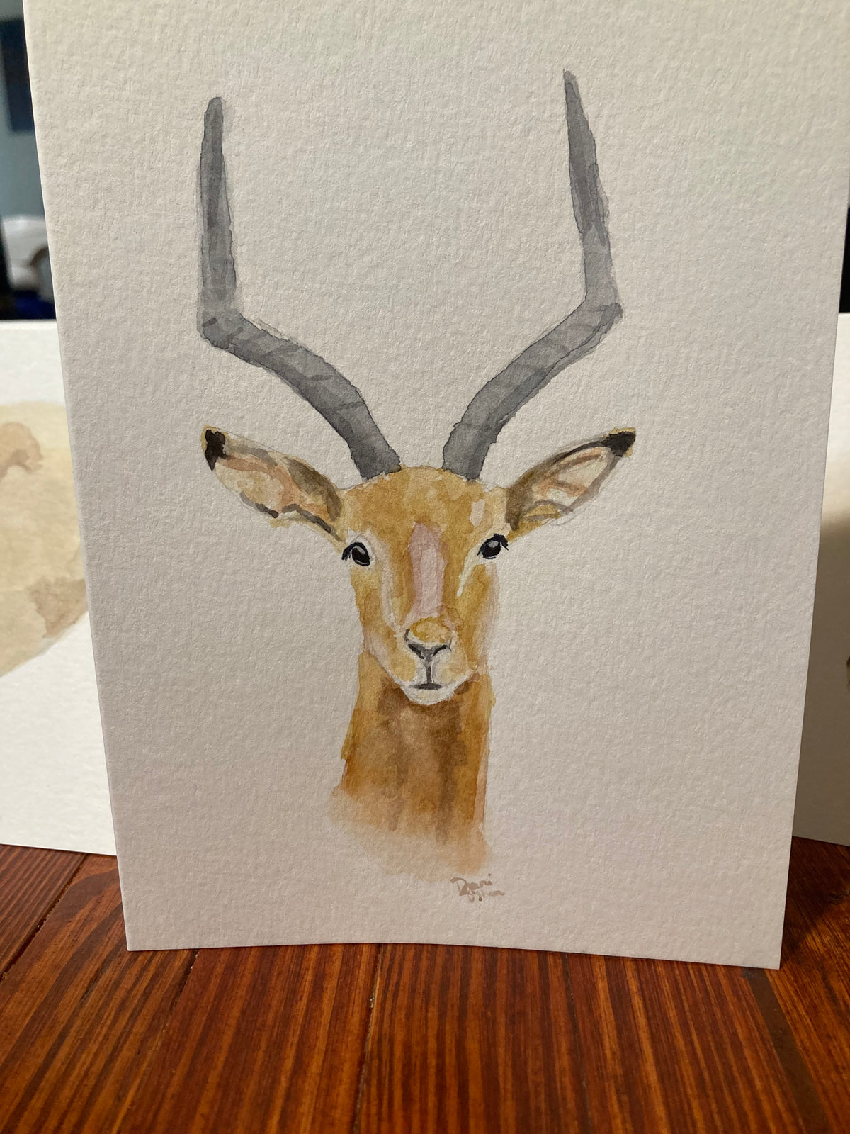 Safari Card Series