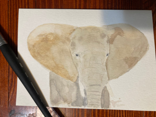 Safari Card Series