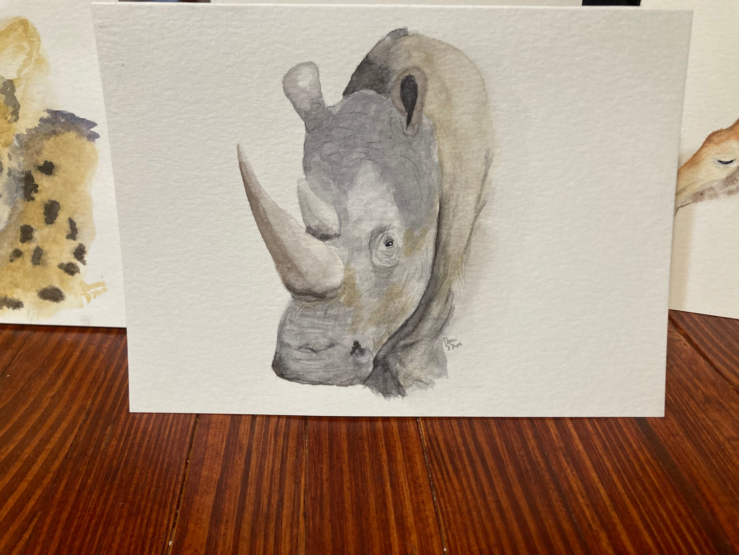 Safari Card Series