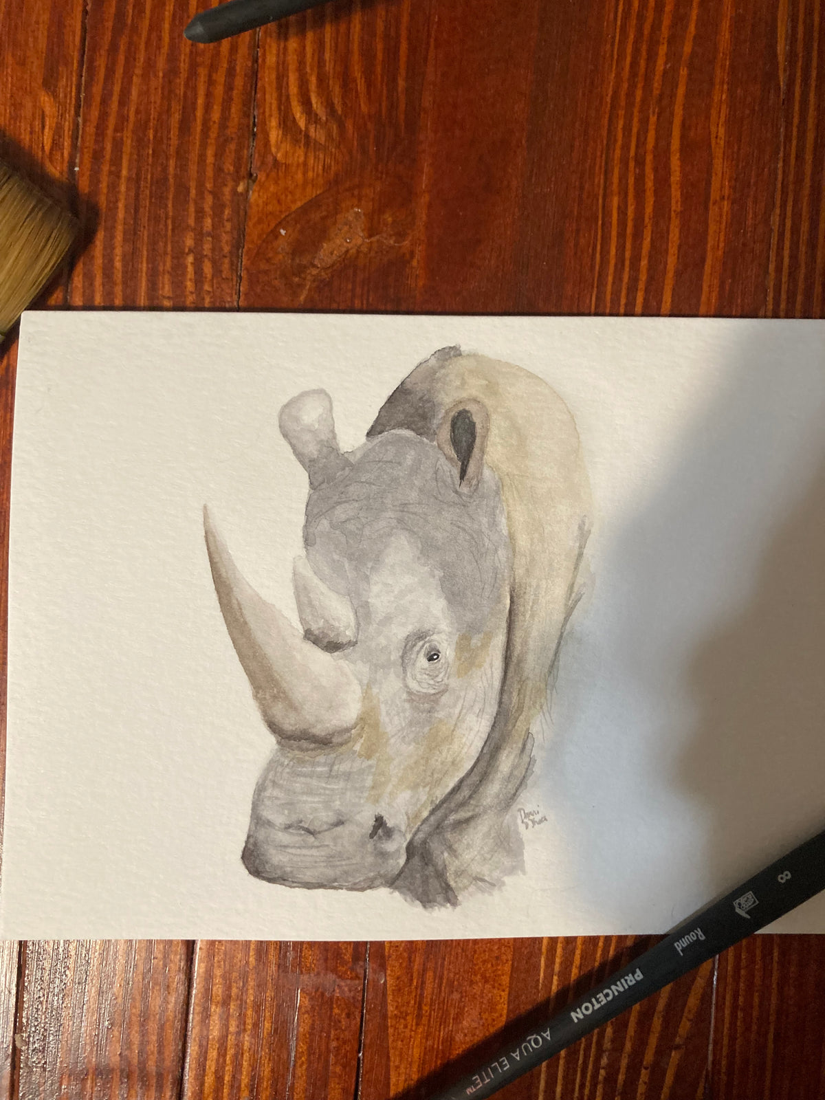Safari Card Series