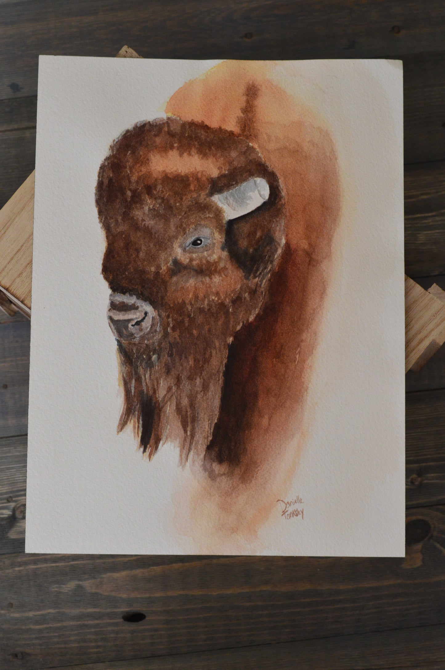 Buffalo Watercolor