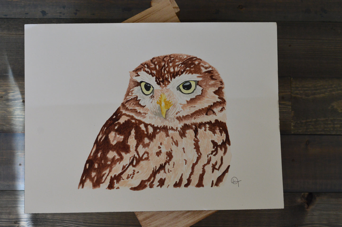 Burrowing Owl Original Watercolor