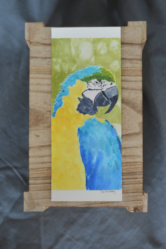 Macaw Watercolor Original