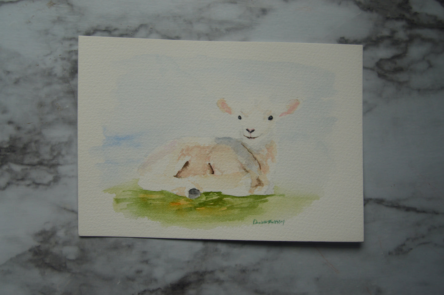 Lamb Watercolor