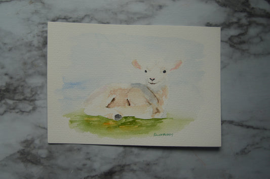 Lamb Watercolor