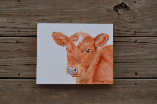 Red Angus Calf