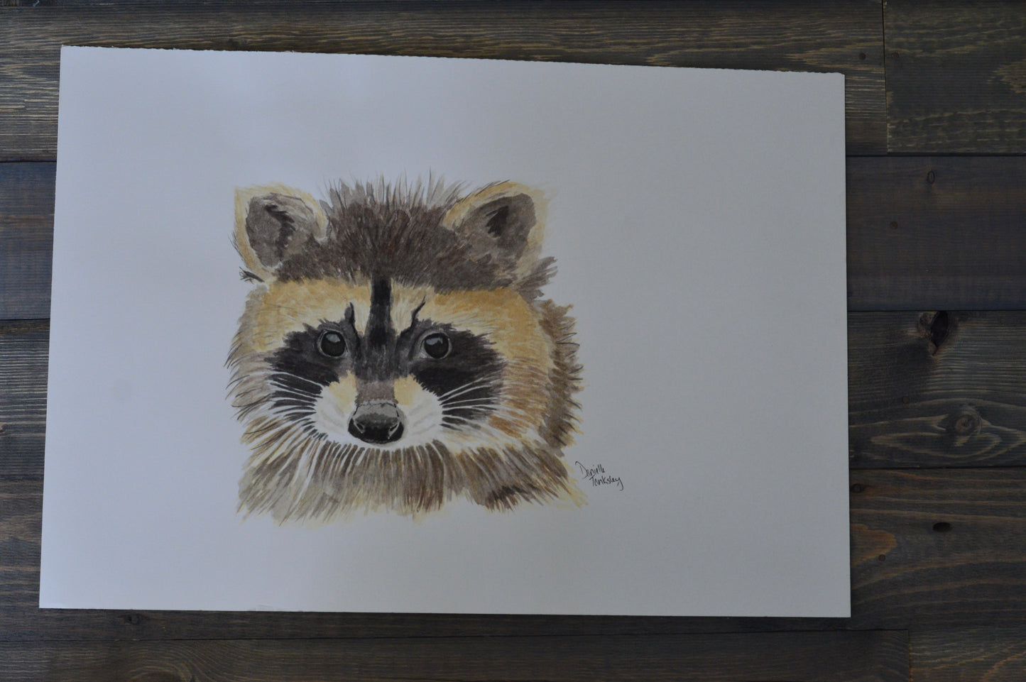 Raccoon Original Art