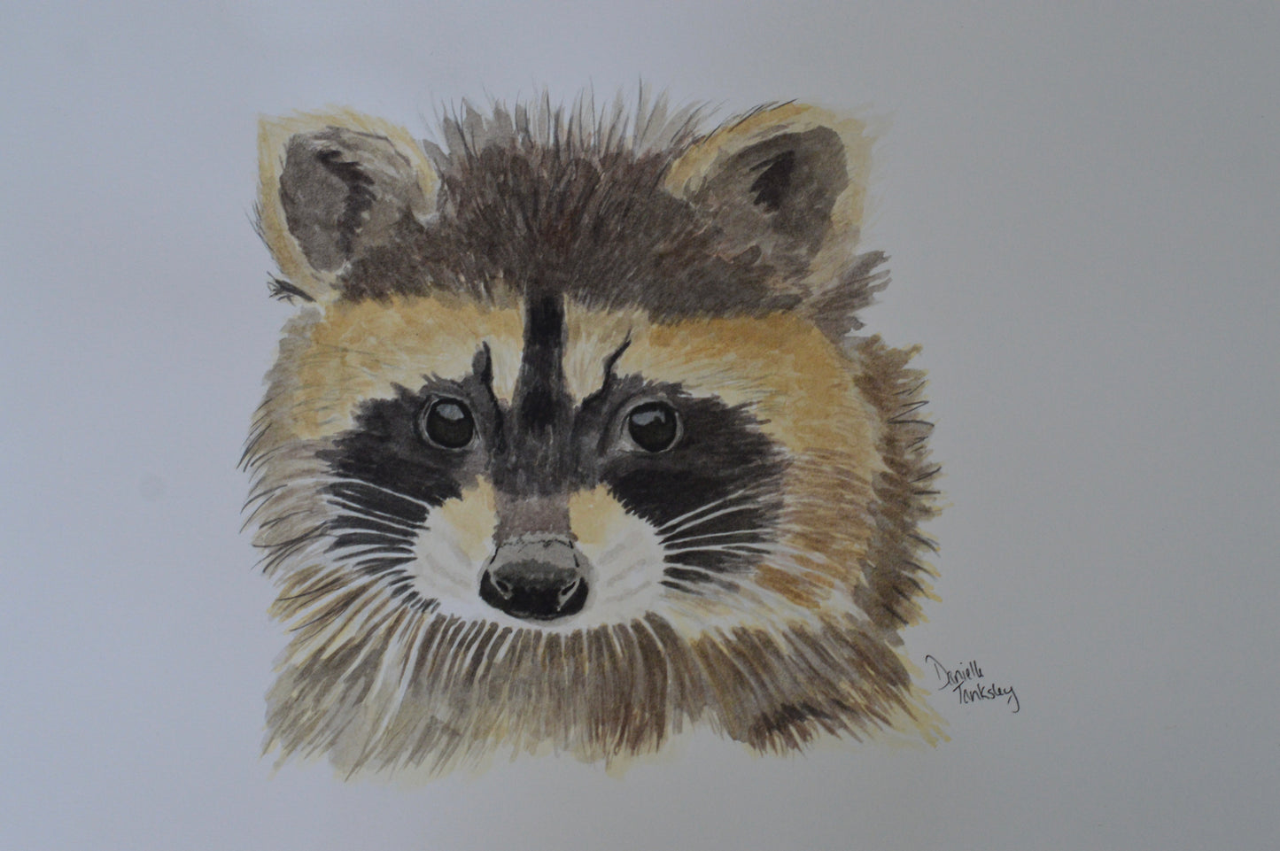 Raccoon Original Art