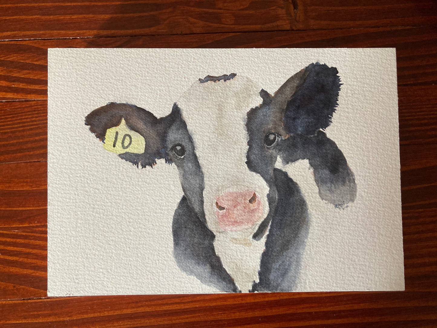 Holstein Calf Watercolor Origina
