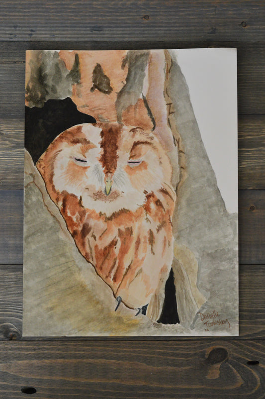 Owl Watercolor Original