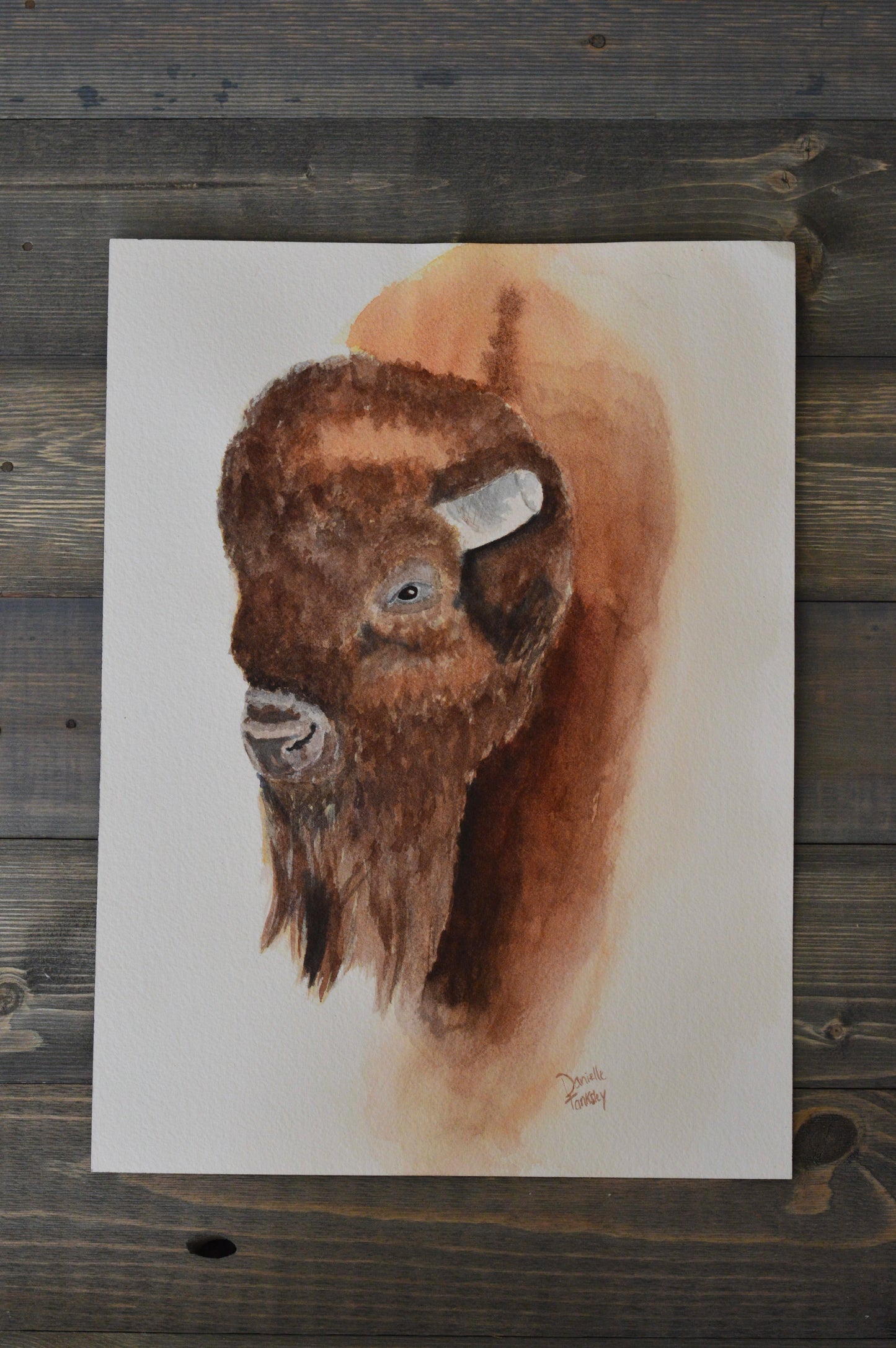 Buffalo Watercolor