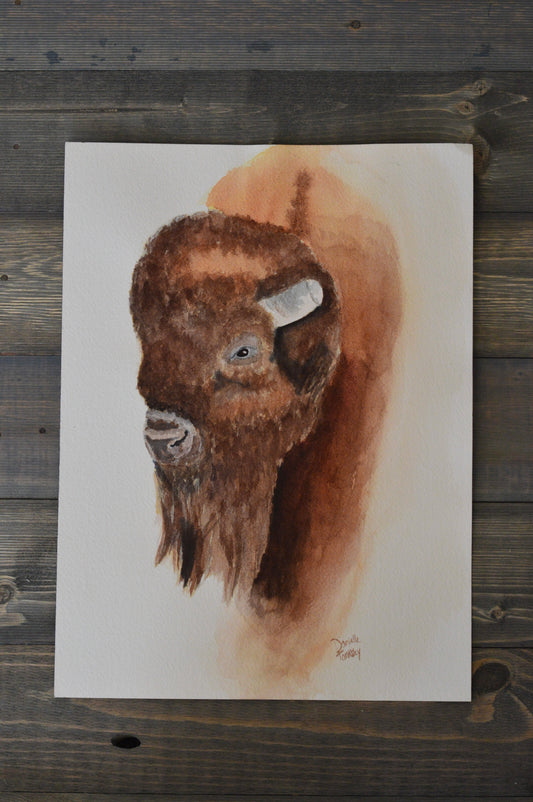 Buffalo Watercolor