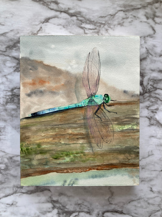 Dragonfly Watercolor
