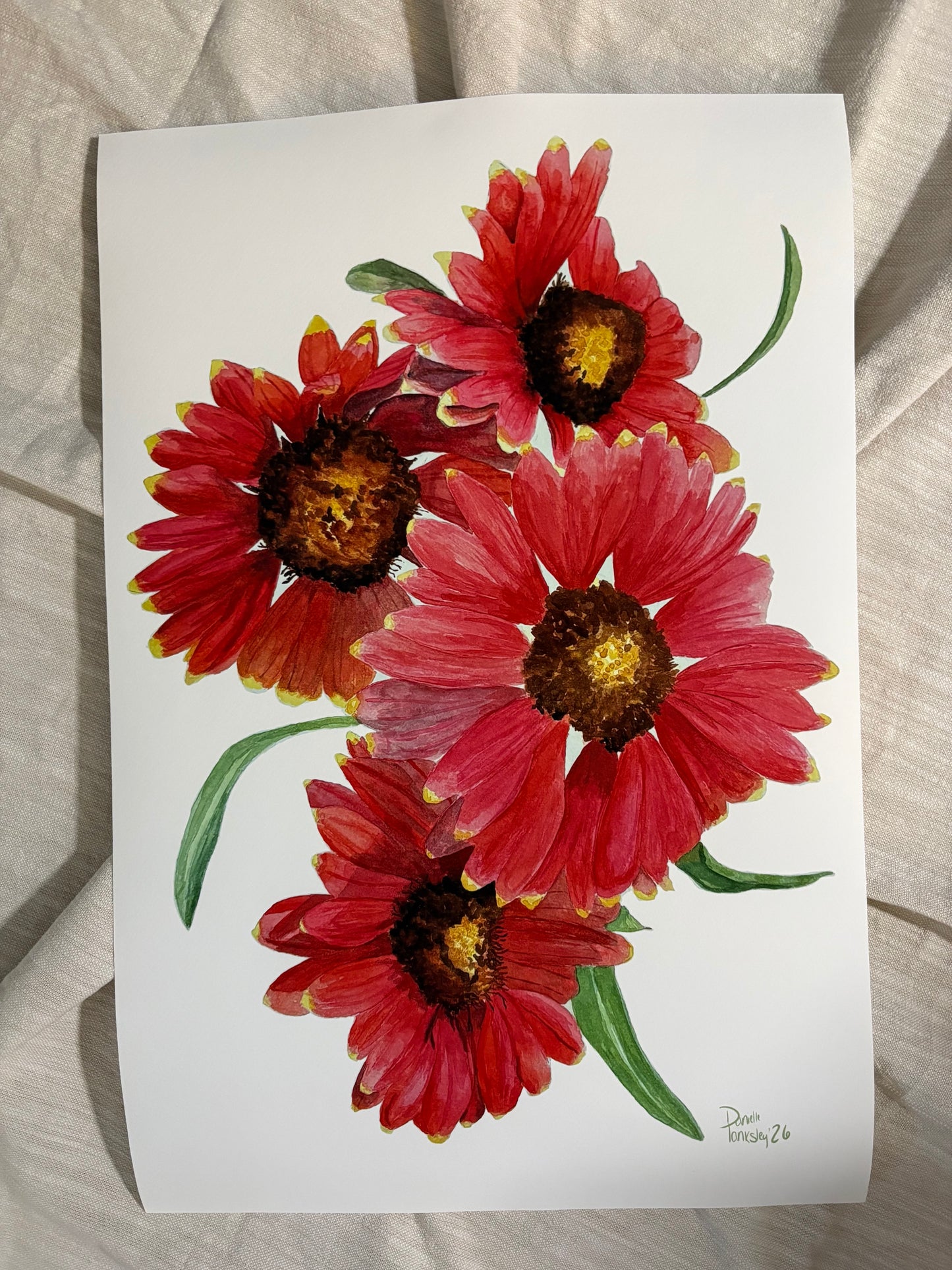 Indian Blanket Print 16x24 Paper