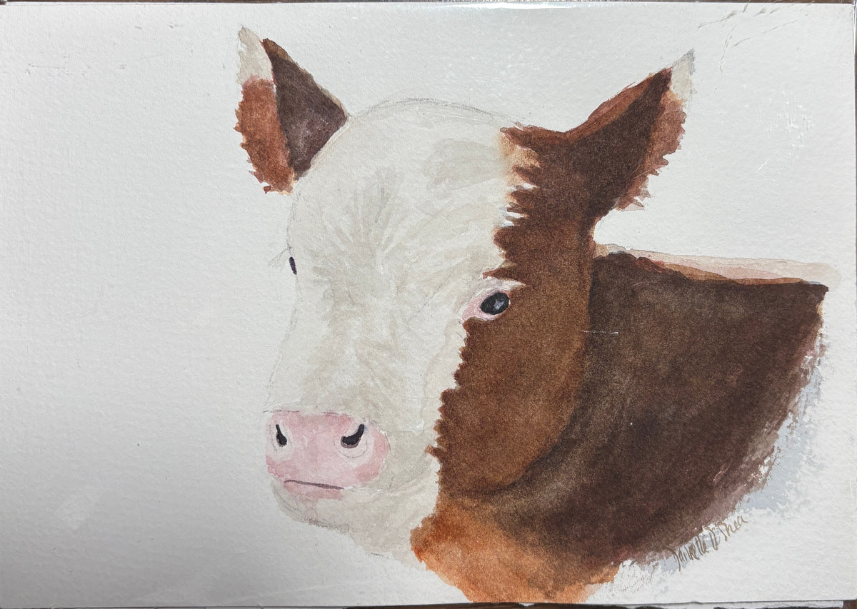 Brown Calf 5x7 Watercolor