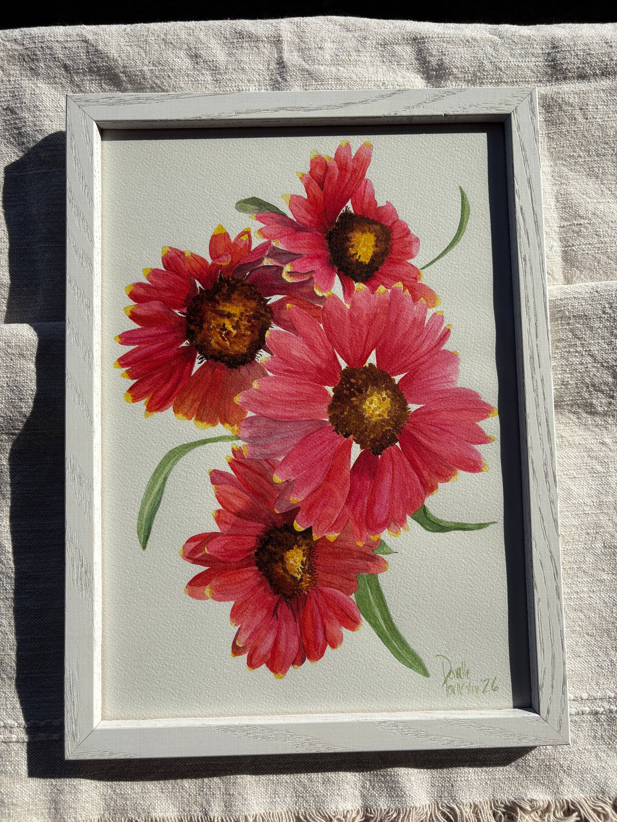 Indian Blanket Flowers