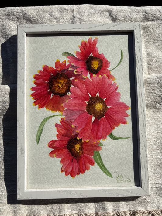 Indian Blanket Flowers