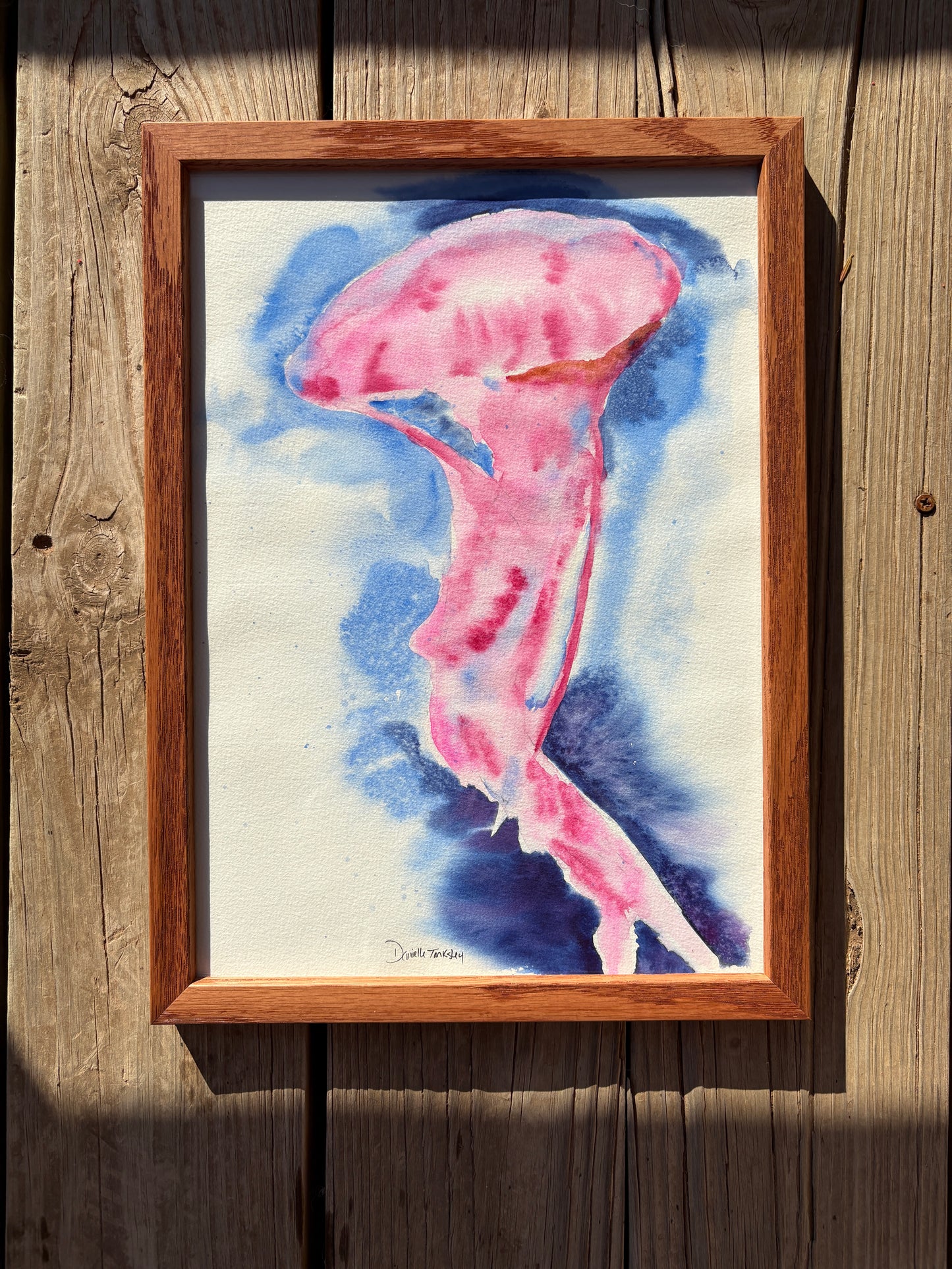 Jellyfish Original